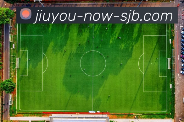 九游，九游官网，九游官方网站，九游入口，九游APPAPP 封面图